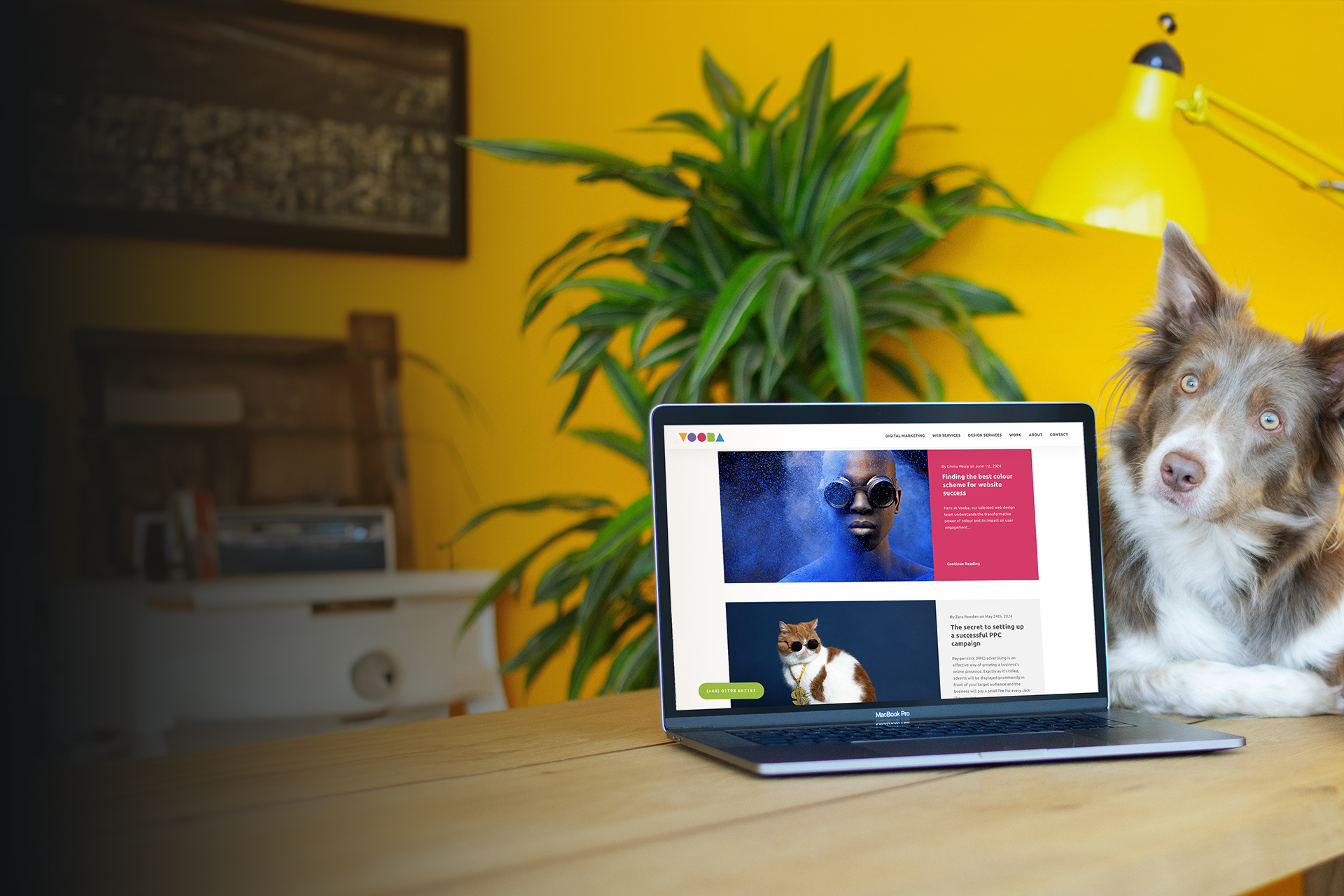 How blogging establishes your business as an industry leader