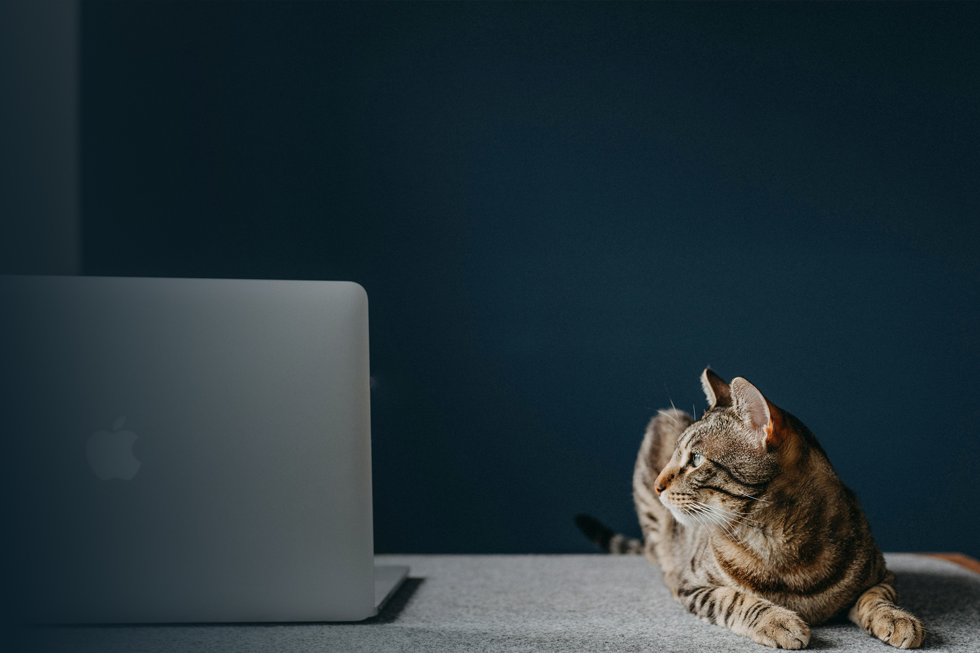 Website migration and the impact on existing SEO success