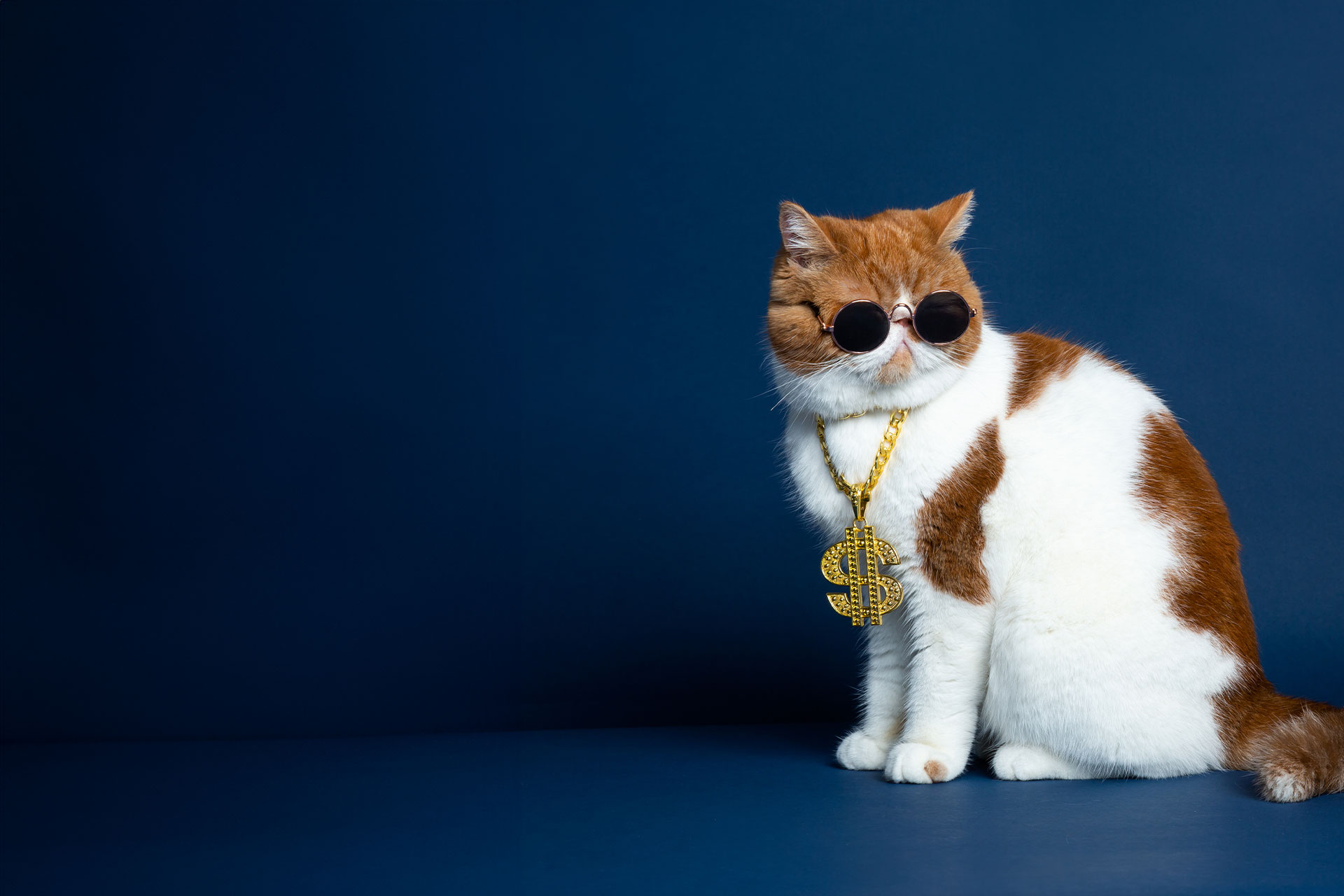The secret to setting up a successful PPC campaign