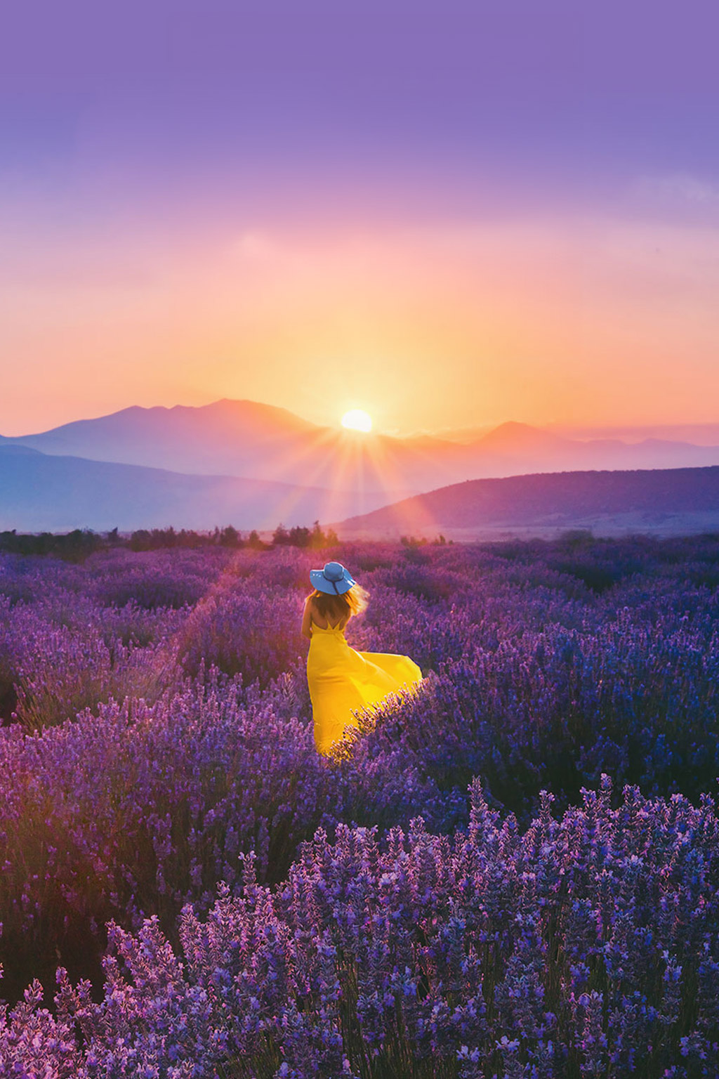 Woman in a bright yellow dress sitting amidst a purple lavender field at sunset, with the sun dramatically setting over distant mountains.